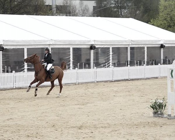 Reitturnier Amriswil 2023