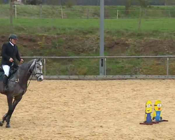 Reitturnier Altentrüdingen/Mfr. 2023