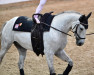 jumper Nobel de Reve Z (Zangersheide riding horse, 2013, from Nabab de Rêve)