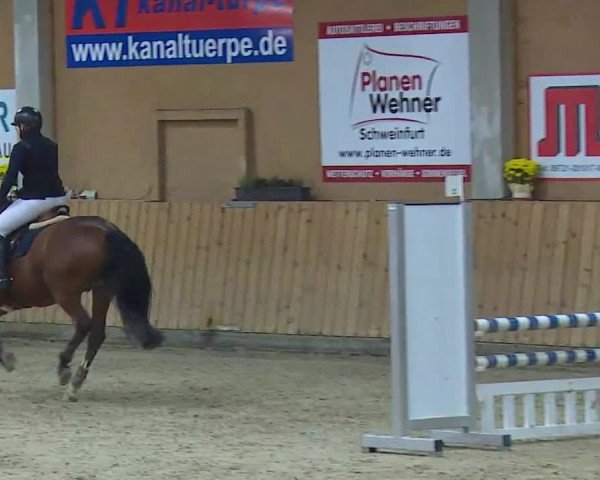 Reitturnier Grafenrheinfeld/Ufr. 2021