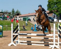 broodmare Quentchen Glück (German Sport Horse, 2009, from Quiztime)