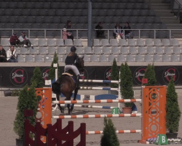 Reitturnier Aachen 2023