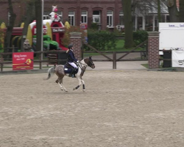 Reitturnier Klein Roscharden 2023