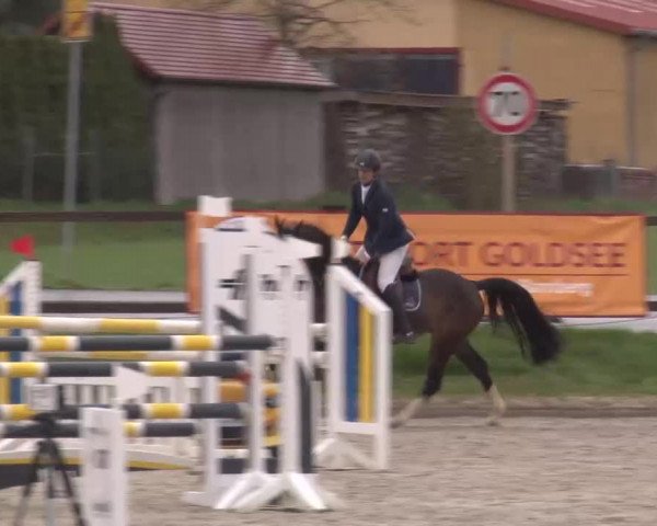 Reitturnier Poxdorf/Ofr 2023