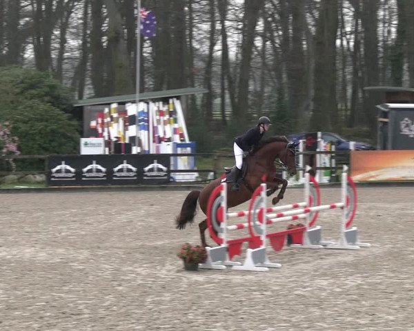 Reitturnier Klein Roscharden 2023