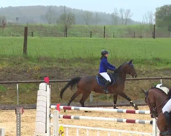 Reitturnier Altentrüdingen/Mfr. 2023