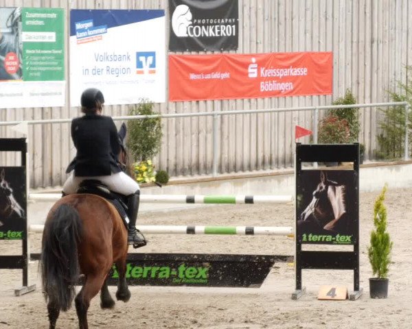 Reitturnier Herrenberg 2023