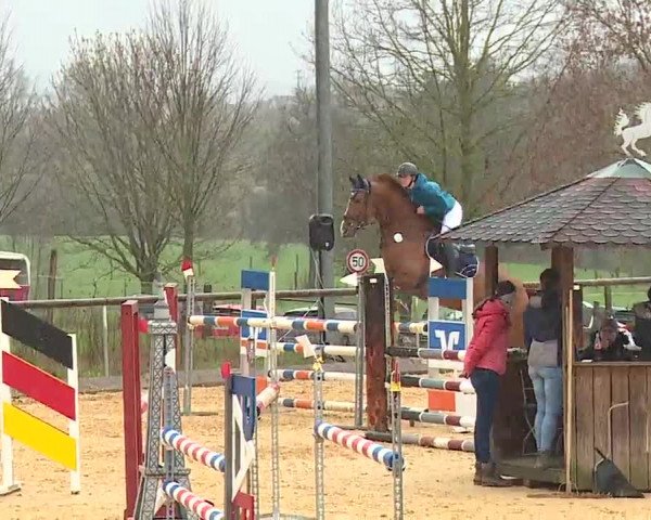 Reitturnier Altentrüdingen/Mfr. 2023