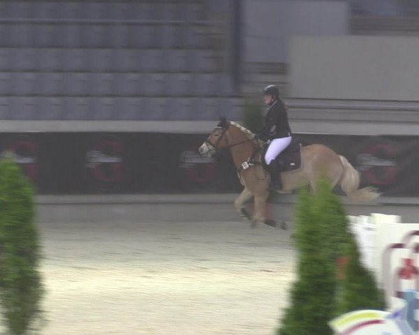 Reitturnier Aachen 2023