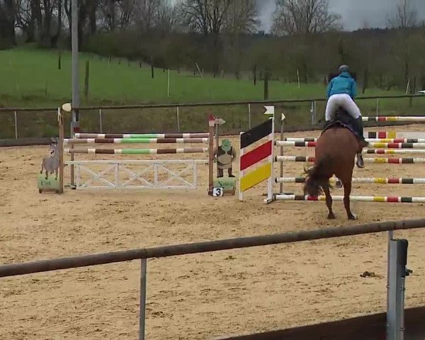 Reitturnier Altentrüdingen/Mfr. 2023