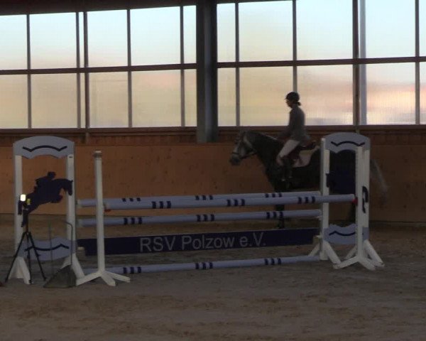 Reitturnier Polzow 2021