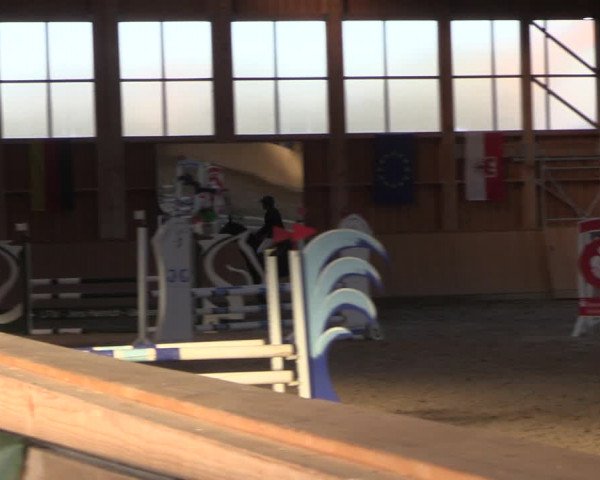 Reitturnier Polzow 2021