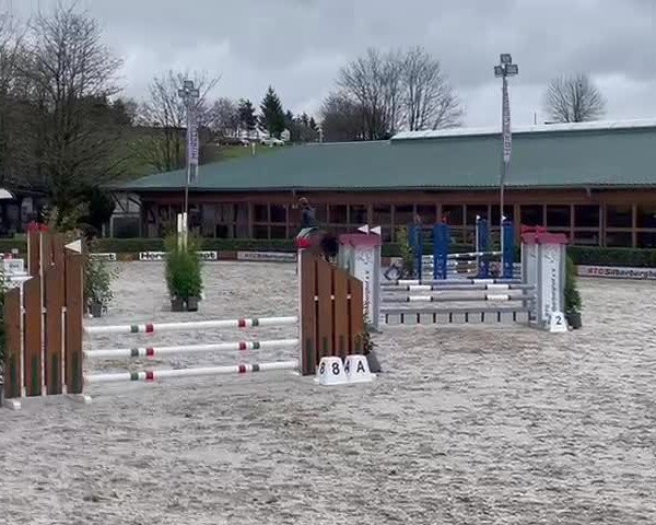 Video of My Hope H