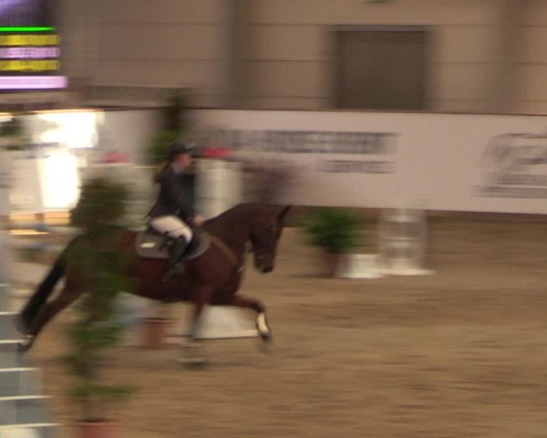 Reitturnier Prussendorf 2021