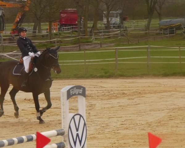 Reitturnier Wutzetz 2023