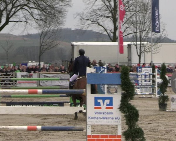 Reitturnier Werne-Lenklar 2023