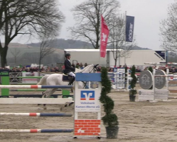 Reitturnier Werne-Lenklar 2023