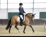 Dressurpferd Classic Princess G (Deutsches Reitpony, 2019, von Top Champion)