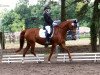 broodmare Alabama 60 (Hanoverian, 2005, from Alpaschino)