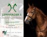 jumper Lemwerder S (Hanoverian, 2010, from Lordanos)