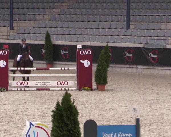 Reitturnier Aachen 2023