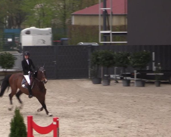 Reitturnier Aachen 2023