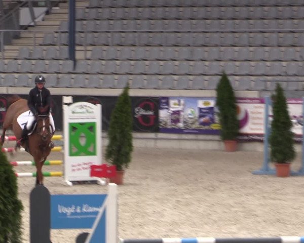 Reitturnier Aachen 2023