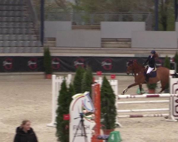 Reitturnier Aachen 2023