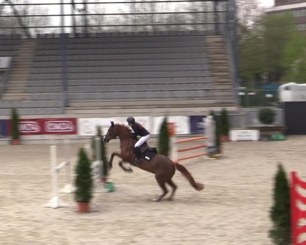 Reitturnier Aachen 2023