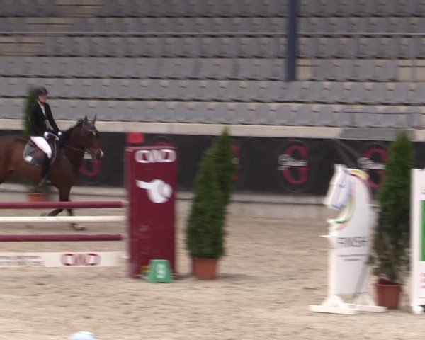 Reitturnier Aachen 2023