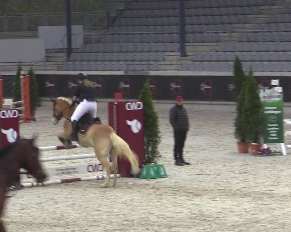 Reitturnier Aachen 2023
