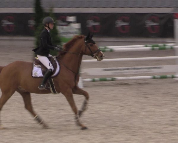 Reitturnier Aachen 2023