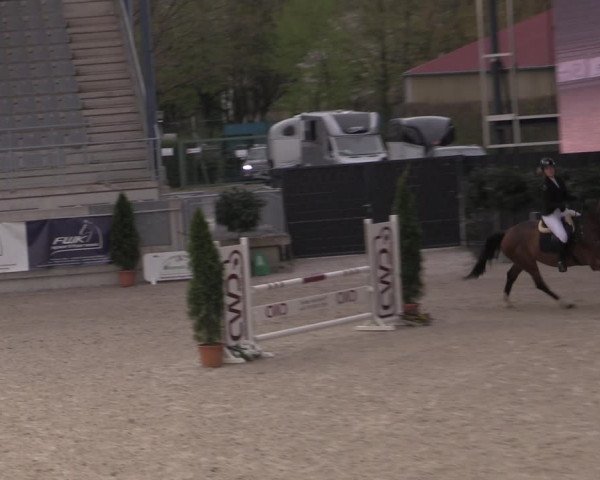 Reitturnier Aachen 2023