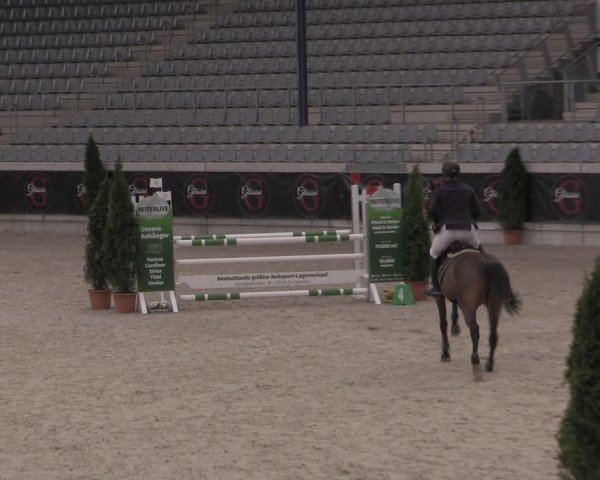 Reitturnier Aachen 2023
