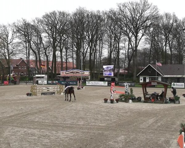 Reitturnier Klein Roscharden 2023