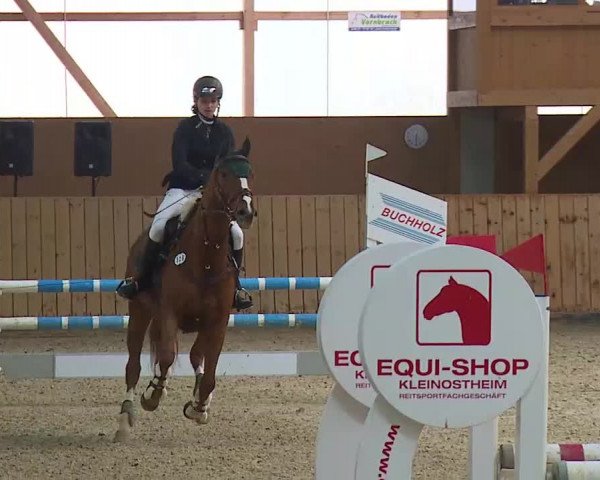 Reitturnier Grafenrheinfeld/Ufr. 2021