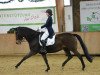 dressage horse Jazz Dance 6 (Oldenburg, 2005, from Jazz Time)