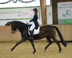 dressage horse Jazz Dance 6 (Oldenburg, 2005, from Jazz Time)