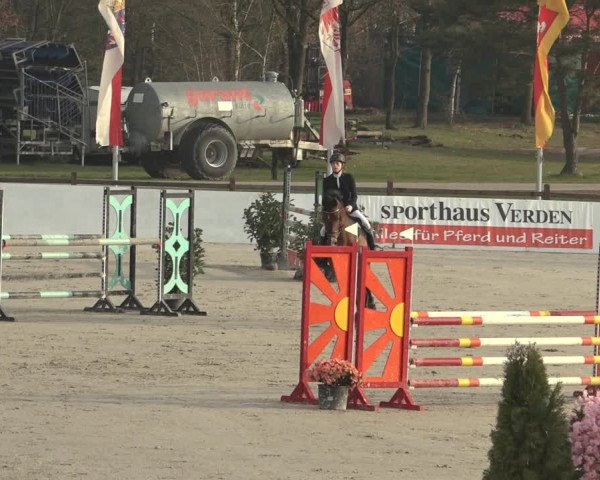 Reitturnier Westergellersen 2023