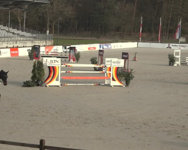 Reitturnier Westergellersen 2023