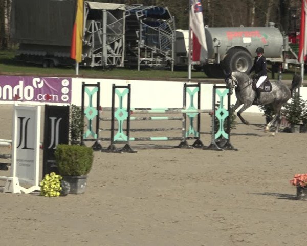 Reitturnier Westergellersen 2023