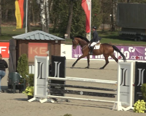 Reitturnier Westergellersen 2023