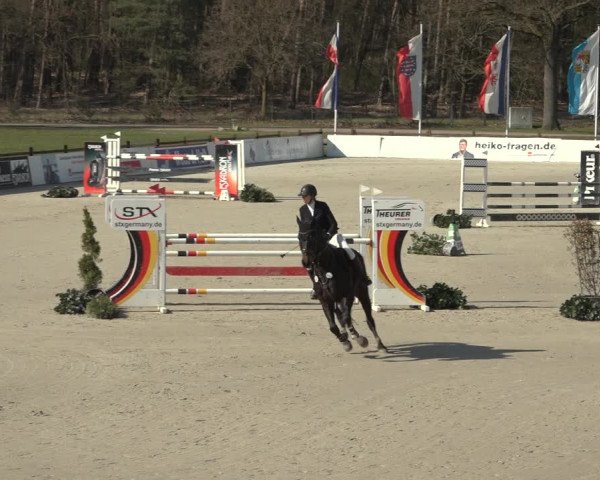 Reitturnier Westergellersen 2023