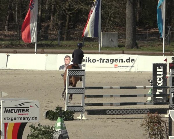 Reitturnier Westergellersen 2023