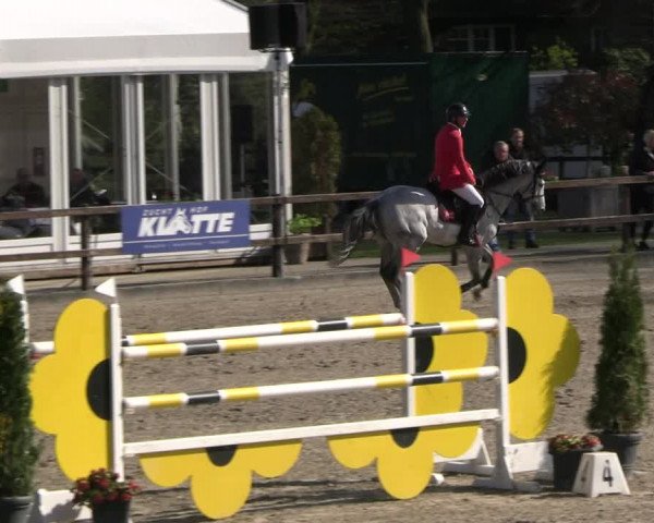 Reitturnier Klein Roscharden 2023