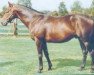 stallion Agent Bleu xx (Thoroughbred, 1987, from Vacarme xx)