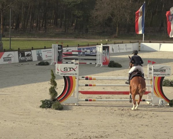 Reitturnier Westergellersen 2023