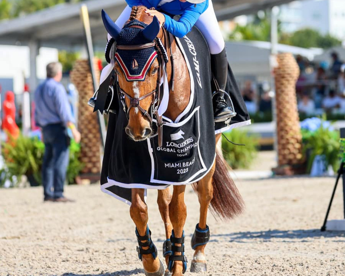 horse Colina Sn (Swedish Warmblood, 2010, from Colman)