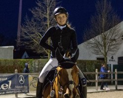 jumper Lennon (Oldenburg show jumper, 2003, from Lando)