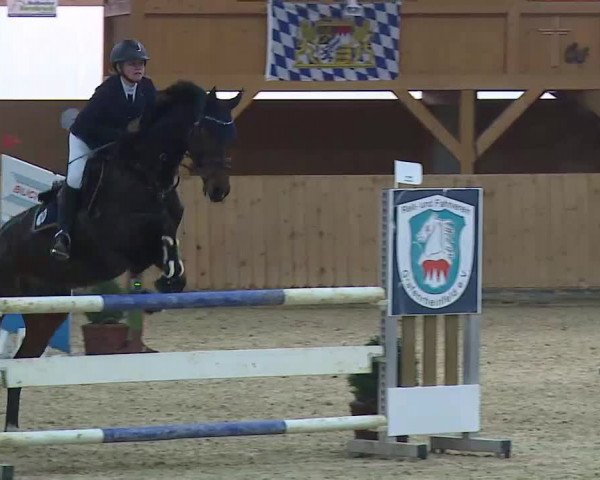 Reitturnier Grafenrheinfeld/Ufr. 2021